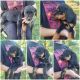 Rottweiler Puppies for sale in Plainfield, IN, USA. price: $500
