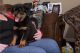Rottweiler Puppies for sale in Alpharetta, GA, USA. price: $800