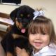 Rottweiler Puppies for sale in Beaufort, South Carolina. price: $550