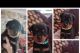 Rottweiler Puppies for sale in Chicago, Illinois. price: $500