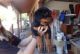 Rottweiler Puppies for sale in St Pete Beach, FL, USA. price: NA
