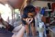 Rottweiler Puppies for sale in Alderson, WV 24910, USA. price: NA