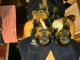 Rottweiler Puppies for sale in Moneta, VA 24121, USA. price: $800