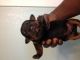 Rottweiler Puppies for sale in Winchester, KY 40391, USA. price: NA