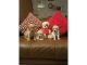 Rottweiler Puppies for sale in Virginia Beach, VA, USA. price: $800