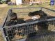 Rottweiler Puppies for sale in San Diego, CA, USA. price: NA