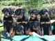 Rottweiler Puppies for sale in Sanford, FL, USA. price: NA