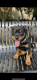 Rottweiler Puppies for sale in Alpharetta, GA, USA. price: $1,600