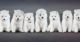 Samoyed Puppies for sale in S Carolina St, Avon Park, FL 33825, USA. price: NA