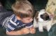 Santal Hound Puppies for sale in Huntington Beach, CA, USA. price: NA