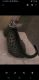 Savannah Cats for sale in Charleston, WV, USA. price: $700