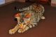 Savannah Cats for sale in Akron, CO 80720, USA. price: NA