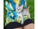 Savannah Cats for sale in Virginia Beach, VA, USA. price: $300