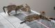 Savannah Cats for sale in Fort Lauderdale, FL, USA. price: NA