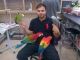 Scarlett Macaw Birds for sale in Louisville, KY, USA. price: NA