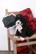 Sheepadoodle Puppies for sale in The Bronx, NY, USA. price: $950