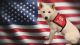 Shiba Inu Puppies for sale in Lakeland, FL, USA. price: NA