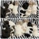 Shih-Poo Puppies for sale in Wayne, NJ 07470, USA. price: NA