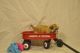 Shih-Poo Puppies for sale in Alton, IL, USA. price: $675
