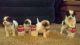 Shih-Poo Puppies for sale in West Bend, WI, USA. price: NA