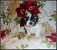 Shih Tzu Puppies for sale in Wildwood, FL, USA. price: $1,800