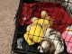 Shih Tzu Puppies for sale in Sugar Creek, MO 64050, USA. price: $500
