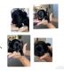 Shih Tzu Puppies for sale in Eagle Mountain, UT, USA. price: $1,200