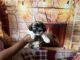 Shih Tzu Puppies for sale in Ruskin, FL, USA. price: NA