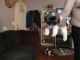 Shih Tzu Puppies for sale in Cullman, AL, USA. price: $700