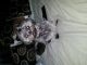 Shih Tzu Puppies for sale in Syracuse, NY, USA. price: $800