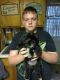 Shorkie Puppies for sale in Westland, MI, USA. price: NA