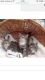 Siberian Cats for sale in Arlington, VA, USA. price: NA