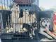 Siberian Husky Puppies for sale in Sierra Vista, AZ, USA. price: $250