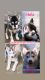 Siberian Husky Puppies for sale in Long Beach, CA, USA. price: $300
