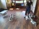 Siberian Husky Puppies for sale in Nokomis, FL 34275, USA. price: NA