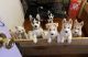 Siberian Husky Puppies for sale in Antioch, CA, USA. price: $500
