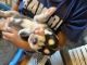 Siberian Husky Puppies for sale in Severance, CO, USA. price: $350