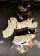 Siberian Husky Puppies for sale in Carmi, IL 62821, USA. price: $800