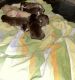 Siberian Husky Puppies for sale in Mojave, CA 93501, USA. price: NA