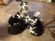 Siberian Husky Puppies for sale in Langley, BC, Canada. price: $1,200