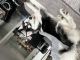 Siberian Husky Puppies for sale in Orlando, FL, USA. price: $3,500