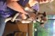 Siberian Husky Puppies for sale in Michigan St NE, Grand Rapids, MI, USA. price: NA