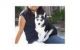 Siberian Husky Puppies for sale in 21201 Michigan Ave, Dearborn, MI 48124, USA. price: NA