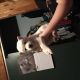 Siberian Husky Puppies for sale in Grass Lake Charter Twp, MI, USA. price: $700