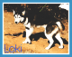 Siberian Husky Puppies for sale in Aurora, MO 65605, USA. price: $300