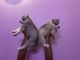 Siberian Husky Puppies for sale in Ghaziabad, Uttar Pradesh, India. price: 40000 INR