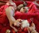 Sphynx Cats for sale in Boston, MA, USA. price: $500