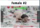 Sphynx Cats for sale in Nashville, TN, USA. price: $2,000