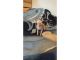 Sphynx Cats for sale in Charlotte, NC, USA. price: $500