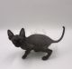 Sphynx Cats for sale in Atlanta, GA 30357, USA. price: $500
